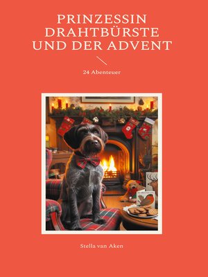 cover image of Prinzessin Drahtbürste und der Advent